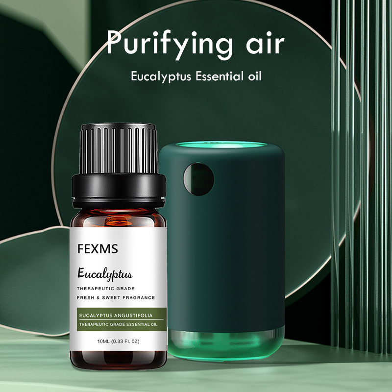 Home Fragrance Eucalyptus - Minyak Esensial Eucalyptus (100% Murni &