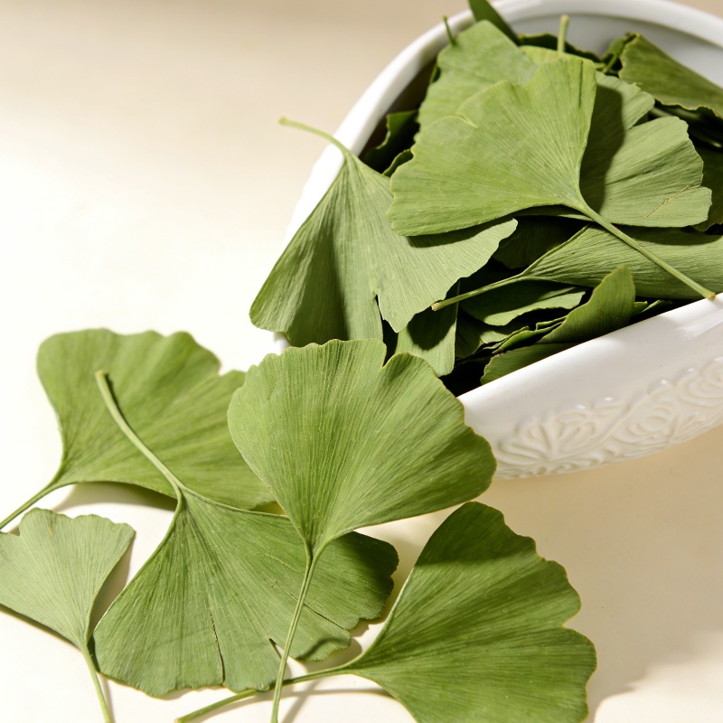 Home Fragrance Sachet - Daun Ginkgo Biloba Kering Berkualitas Untuk
