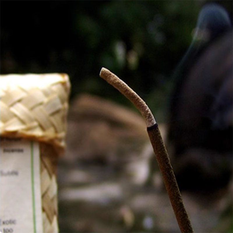 Tongkat Dupa Tanaman Log Berba - Home Fragrance Zen ulasan dan harga