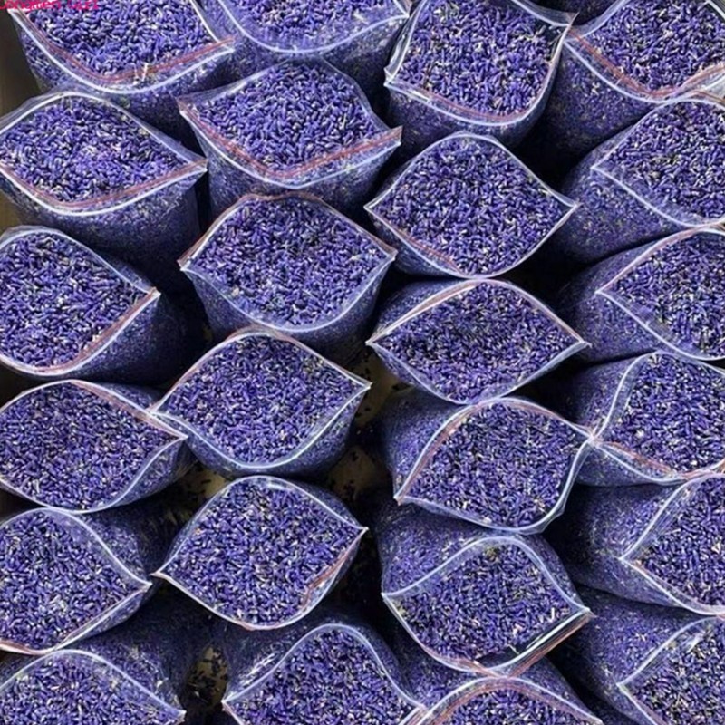 Kuncup Mawar Alami Terbaik, La - Home Fragrance Homemade ulasan dan harga