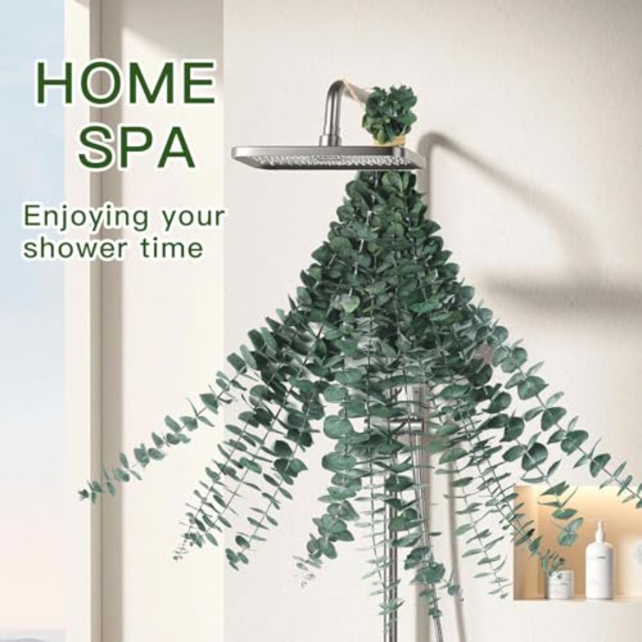 Ranting Eucalyptus Kering untu - Home Fragrance Eucalyptus ulasan dan harga