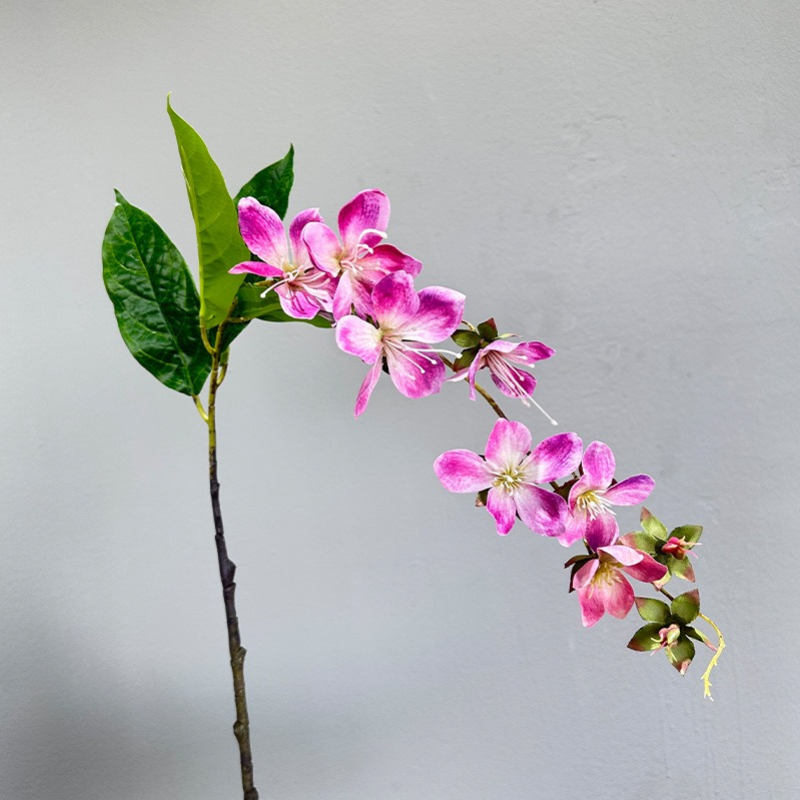 Bunga Melati Buatan Gantung De - Home Fragrance Jasmine ulasan dan harga