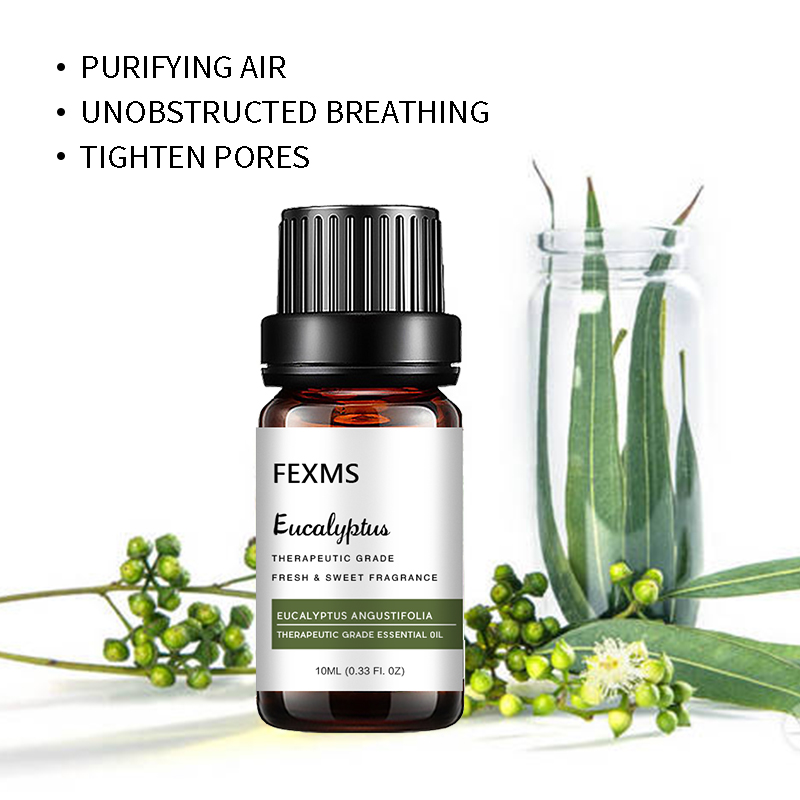 Minyak Esensial Eucalyptus (10 - Home Fragrance Eucalyptus ulasan dan harga