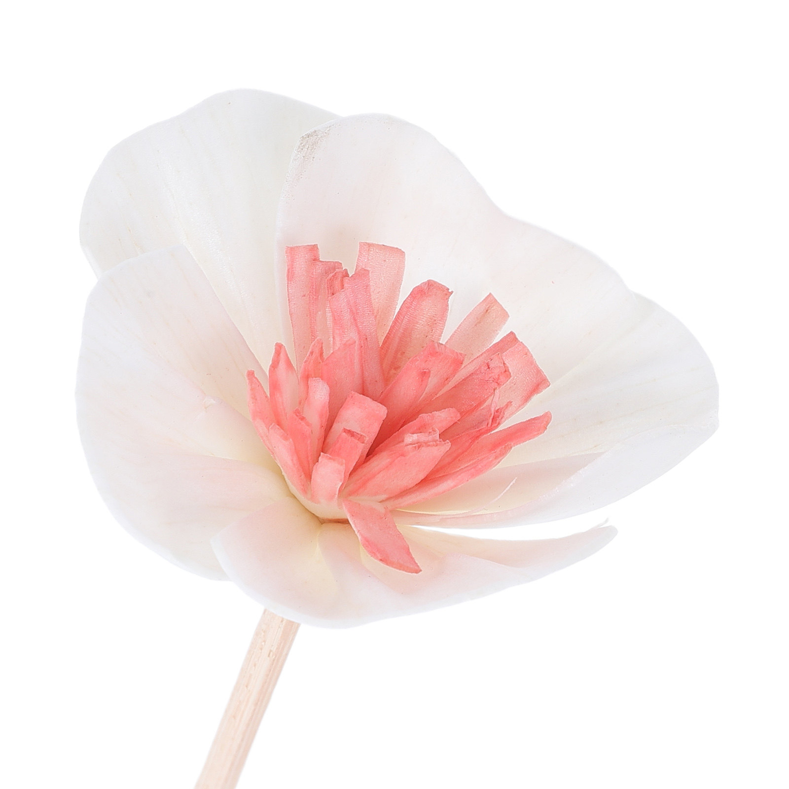 10 Buah Stik Diffuser Minyak E - Home Fragrance Diffuser ulasan dan harga