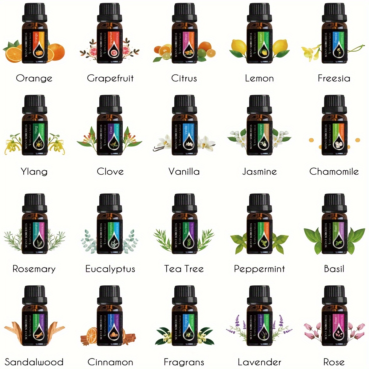 20 Buah/Set Set Minyak Esensia - Home Fragrance Eucalyptus ulasan dan harga