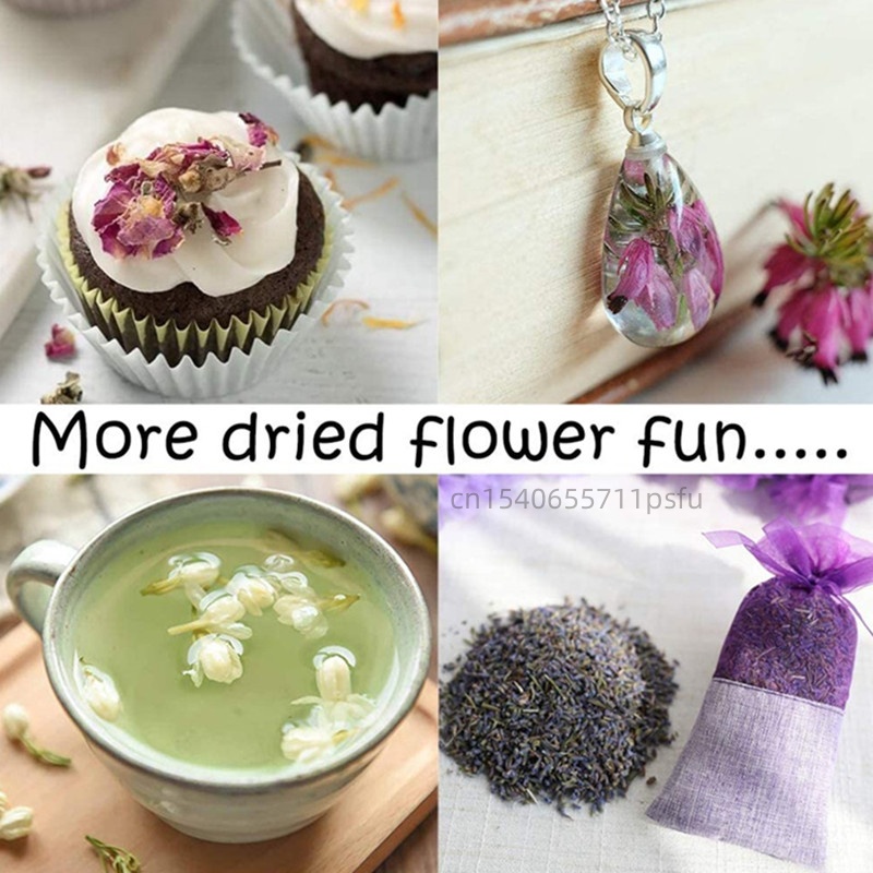 Bunga Melati Kering Alami Berk - Home Fragrance Jasmine ulasan dan harga
